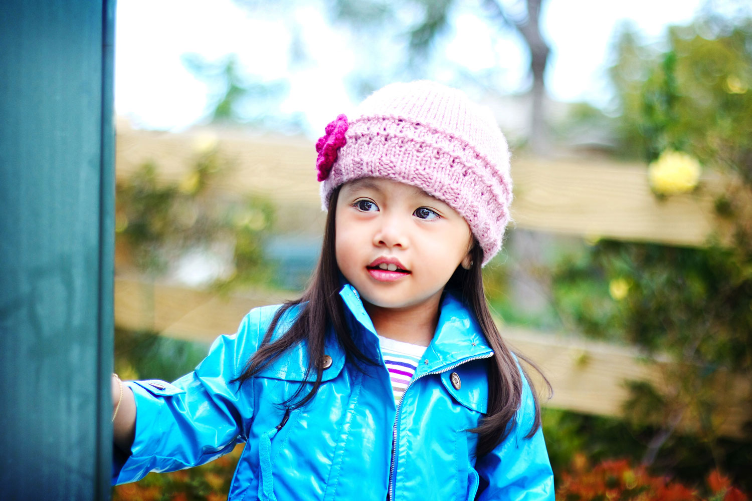 portfolio header background